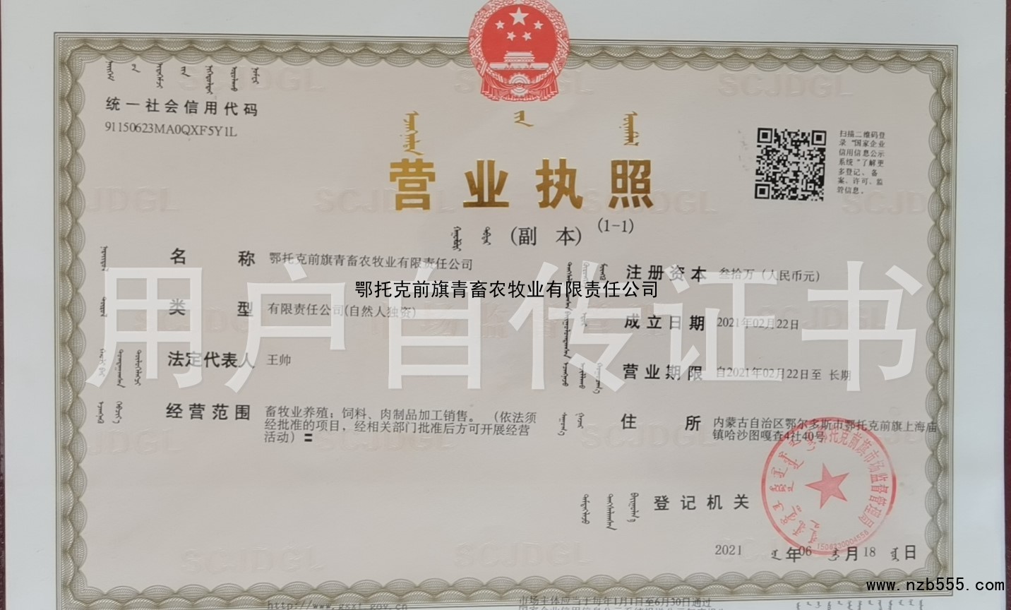 营业执照