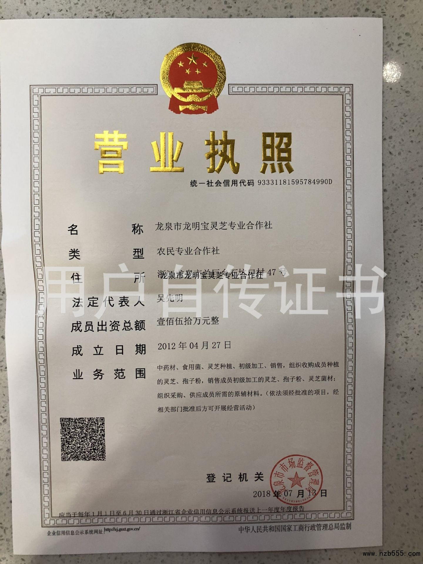 龙泉市龙明宝灵芝专业合作社