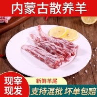 内蒙古草原生羊尾骨新鲜冷冻羊尾尖羊尾巴尖生鲜火锅烧烤食材批发