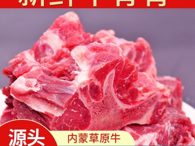 新鲜冷冻牛脊骨商用牛骨头新鲜带肉大骨头牛肉新鲜带肉牛蝎子批发图1