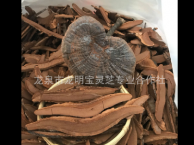 林下仿野生段木栽培黑灵芝紫灵芝整枝产地供货切片带粉500克林芝图2