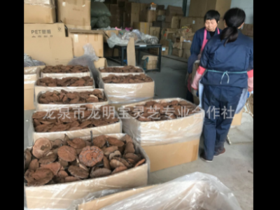 林下仿野生段木栽培黑灵芝紫灵芝整枝产地供货切片带粉500克林芝图4