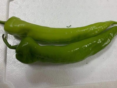菜椒图1