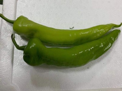 菜椒图2