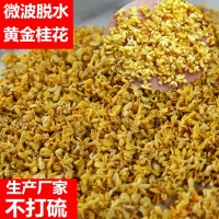 桂花 桂花干 桂林桂花干 21年5A桂林微波脱水金桂花干花茶