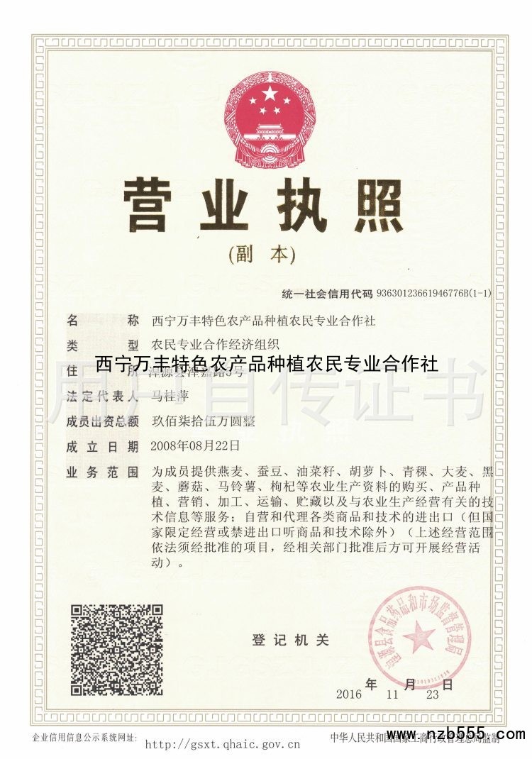 营业执照