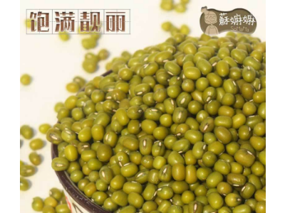 有机绿豆香港苏嫲嫲东北农家五谷杂粮2020新豆宝宝绿豆汤豆沙原料图3