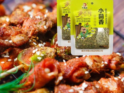 厂家乡奇珍小茴香50g网红调料炒肉馅料火锅烧烤2020新货代发批发图4