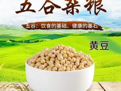 农家自产大豆黄豆现磨豆浆五谷杂粮粗粮豆腐原料豆类散装图1