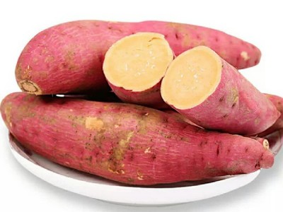 【顺丰直达】福建六鳌红蜜薯沙地地瓜新鲜红心番薯现挖5斤图4