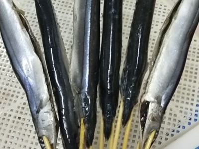 秋刀鱼烧烤串串食材大排档摊铁板油炸小吃半成品冷冻商用10条批发图2