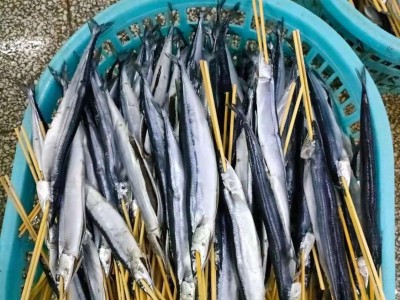 秋刀鱼烧烤串串食材大排档摊铁板油炸小吃半成品冷冻商用10条批发图4