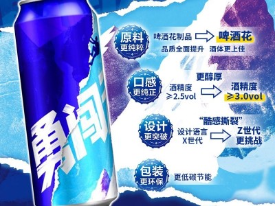 雪花啤酒（Snowbeer）8度 勇闯天涯 500ml*12听整箱装图3