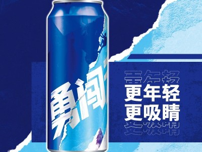 雪花啤酒（Snowbeer）8度 勇闯天涯 500ml*12听整箱装图2
