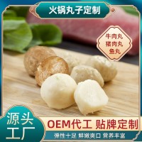 火锅丸子批发代工牛肉丸猪肉丸鱼丸贴牌定制冷冻食材烧烤关东煮