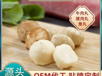火锅丸子批发代工牛肉丸猪肉丸鱼丸贴牌定制冷冻食材烧烤关东煮图3