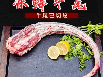 现货供应牛尾冻鲜牛尾骨整根分切牛尾巴牛肉牛骨头图2