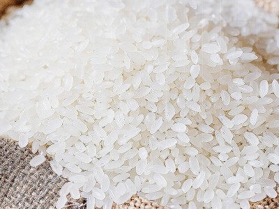 庭享 东北大米 500g 黑龙江2021年新米批发团购1斤装图3