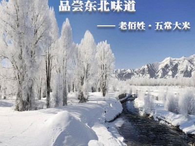 东北五常大米2.5KG5斤真空包装会销礼品定 制一件代发厂家批发图4