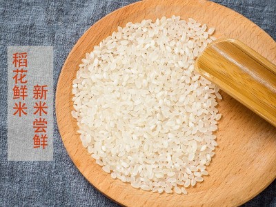 东北五常大米2.5KG5斤真空包装会销礼品定 制一件代发厂家批发图3