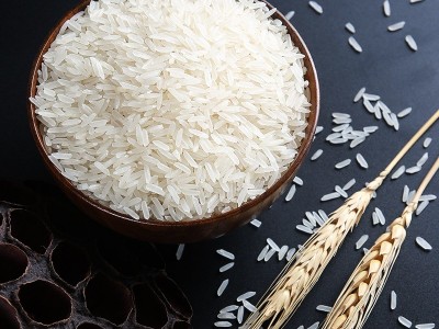 【10斤大米批发】员工福利一件代发大米5kg 长粒香米10斤装丝苗米图4