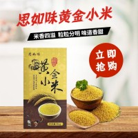黄小米当季新米农家食用小米香糯粘五谷杂粮粥月子米一件代发源头