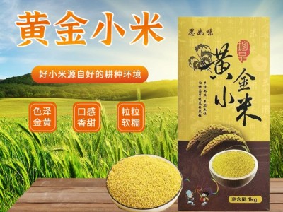 黄小米当季新米农家食用小米香糯粘五谷杂粮粥月子米一件代发源头图3