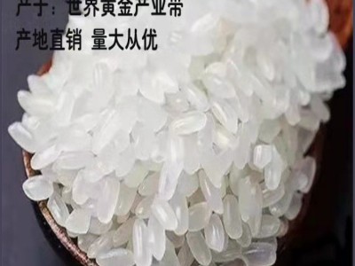 延边特产东北大米延边长粒香大米袋装/盒装规格可选 厂家批发现货图3
