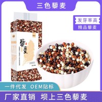 厂家批发 三色藜麦500g/袋张家口坝上黑白红藜麦混合装JP