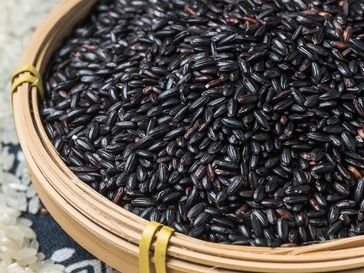 燕之坊珍贡黑米 黑米批发 产地直销黑米 五谷杂粮食品oem贴牌加工图2