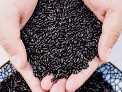 燕之坊珍贡黑米 黑米批发 产地直销黑米 五谷杂粮食品oem贴牌加工图4