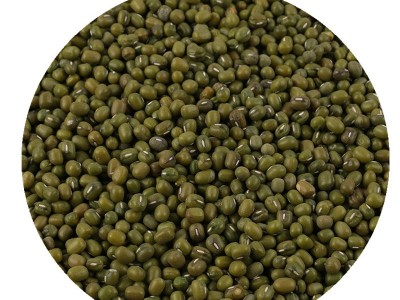 厂家直发东北粮食绿豆农家自产散装粗粮批发优质五谷杂粮明绿豆图5