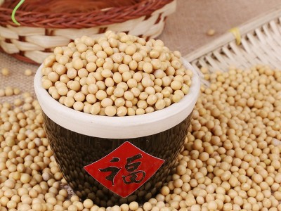 厂家直发东北粮食大豆农家自产散装粗粮优质五谷杂粮批发黄豆图2