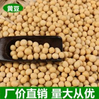 厂家直发东北粮食大豆农家自产散装粗粮优质五谷杂粮批发黄豆