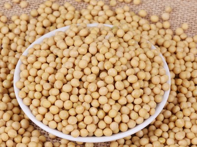 厂家直发东北粮食大豆农家自产散装粗粮优质五谷杂粮批发黄豆图5