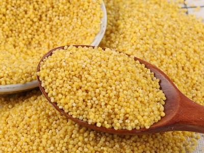 厂家直发优质粮食小米农家自产五谷杂粮批发当年散装粗粮黄小米图2