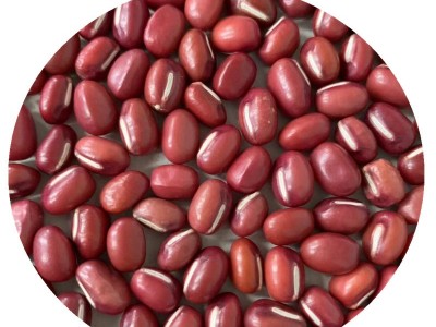 厂家直发东北粮食红小豆农家自产散装粗粮批发五谷杂粮红豆图5