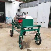 蔬菜打药机 三轮自走式打药机 农用高压打药机