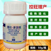 矮壮素多效唑小康控得力植物控旺剂缩节矮化50g植物生长调节剂