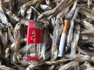 公干鱼 深海小鱼干 咸干 淡干 大量批发图1