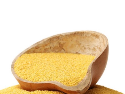 福麦村 黄小米500g 整箱批发 500g*20包/箱图5
