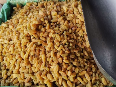 树上黄葡萄干 烘焙原料出口 葡萄干散装整箱黄葡萄干图1