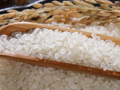 21年新米东北大米50斤批发粳米东北珍珠米商用餐饮食堂米25kg厂家图4
