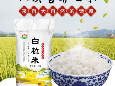 东北大米10斤辽星白粒米5kg食堂餐厅外卖雪花米丑米色选白米批发图2