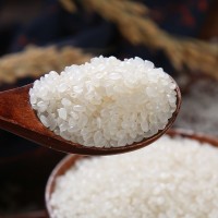 批发21年新米东北大米5kg农家自产珍珠米10斤粳米寿司米大米直批