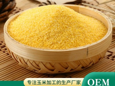 玉米糁批发现货 玉米碴子 干玉米碎 早餐粥原料玉米渣子图1