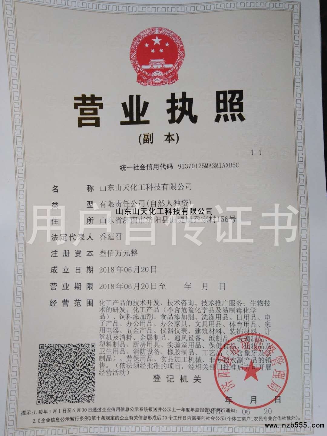 山东山天化工科技有限公司