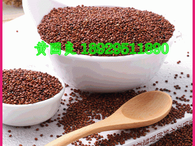 红藜麦米500g孕妇宝宝粗粮优质龙芽米非即食五谷杂粮优质红藜麦图2