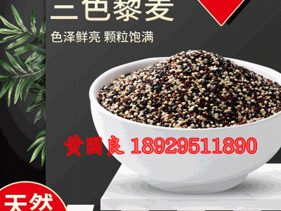 三色藜麦米500g粗粮优质龙芽米南美藜非即食五谷杂粮优质三色藜麦图3