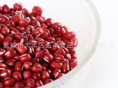 大量批发加工 欢迎来电咨询 天津红红豆2图1